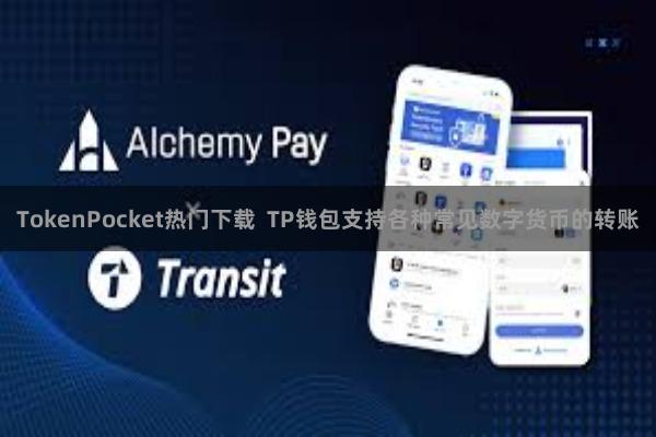TokenPocket热门下载  TP钱包支持各种常见数字货币的转账